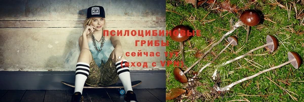 сатива Ветлуга